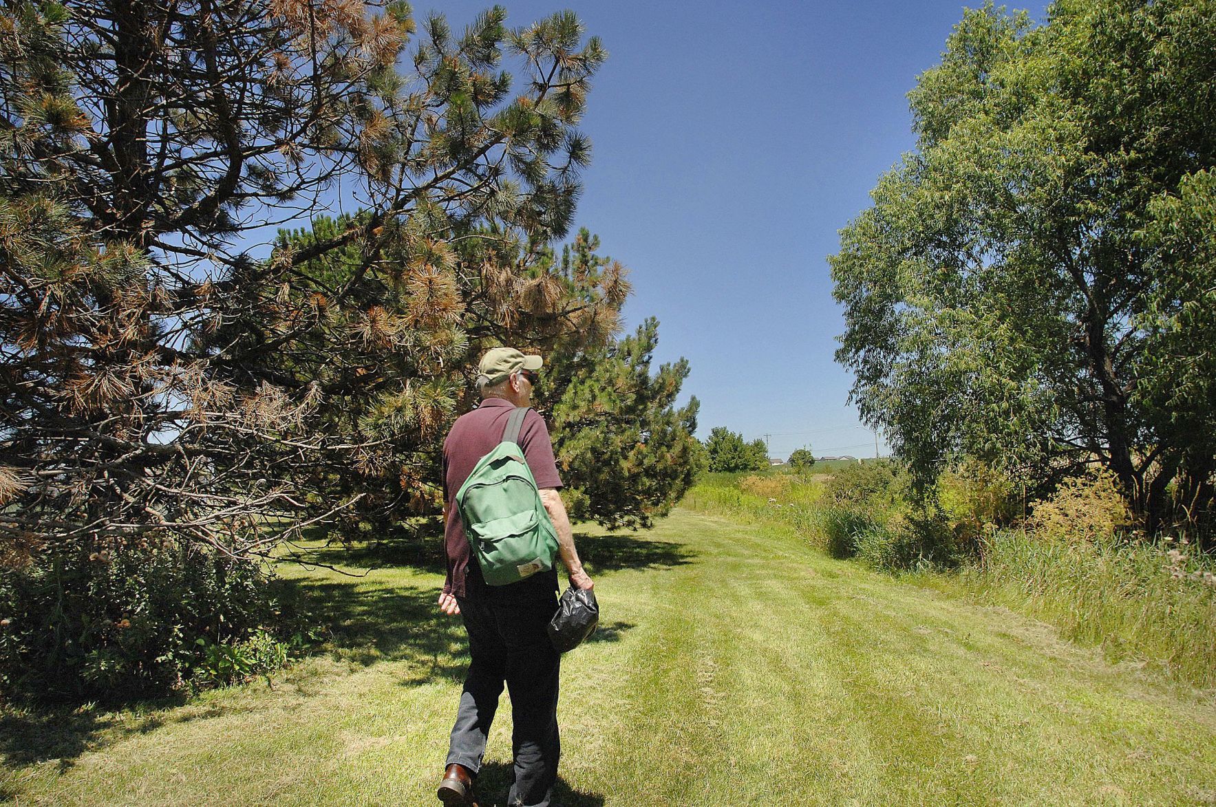 071519-blm-loc-2forest